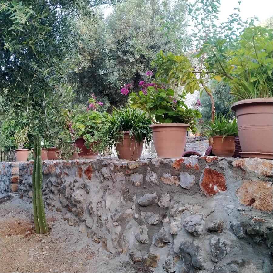 Rodomelo House - 3 Bedrooms Λεωνίδιο Εξωτερικό φωτογραφία