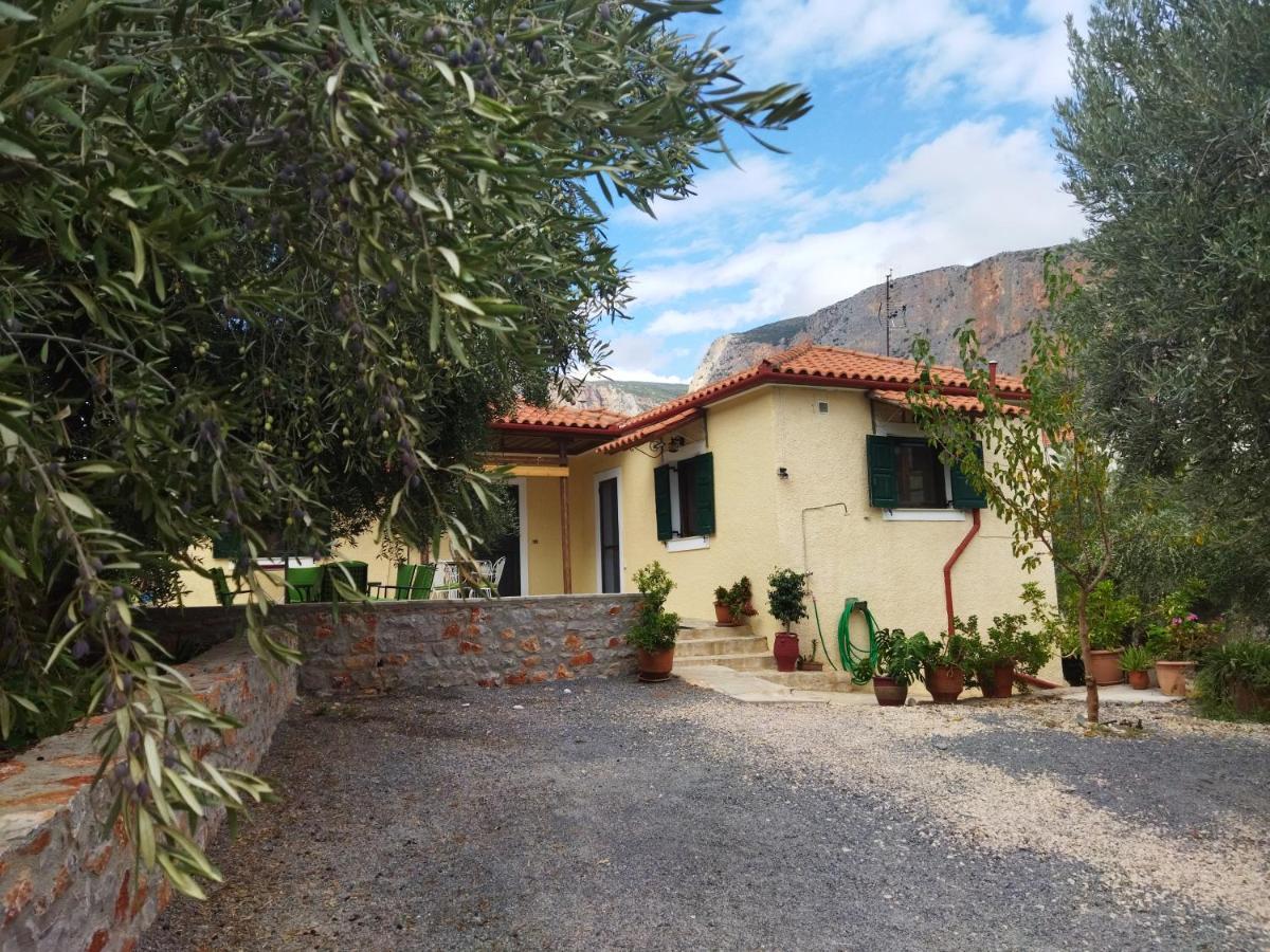 Rodomelo House - 3 Bedrooms Λεωνίδιο Εξωτερικό φωτογραφία